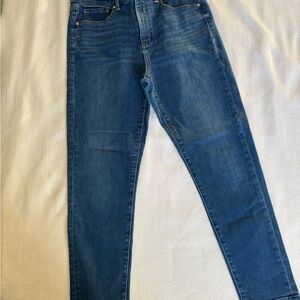 LOFT Indigo Skinny Jeans